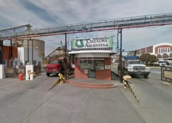 Celulosa Argentina en crisis: Pérdidas récord, deuda impaga y plantas sin actividad