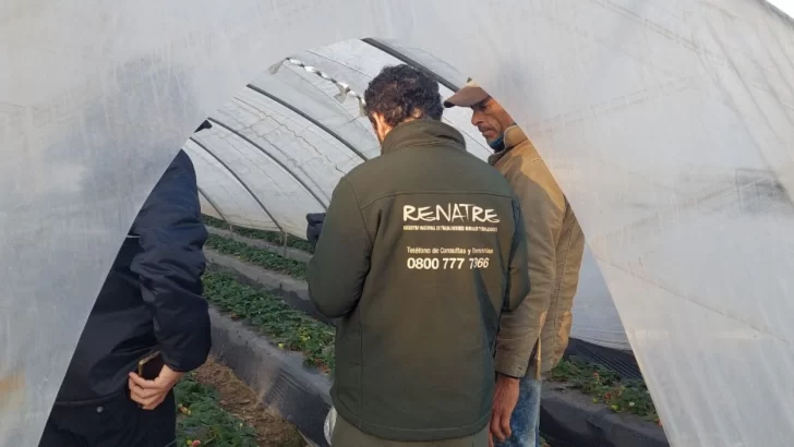 Detectan condiciones laborales precarias en la cosecha de frutilla en Coronda
