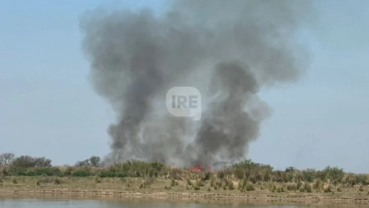 Los incendios en los humedales no dan tregua en la zona de islas