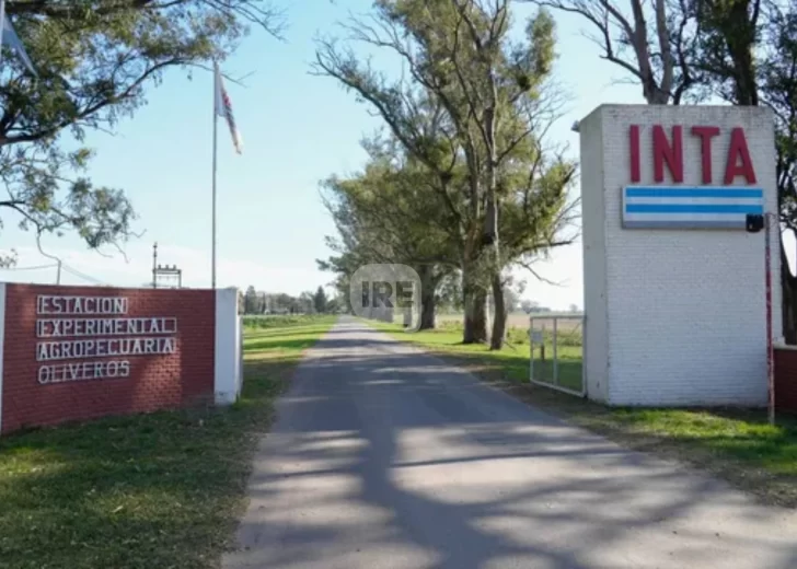 Oliveros será sede del Simposio Forestal de la Región Centro: Ciencia, producción e industria por un futuro sostenible