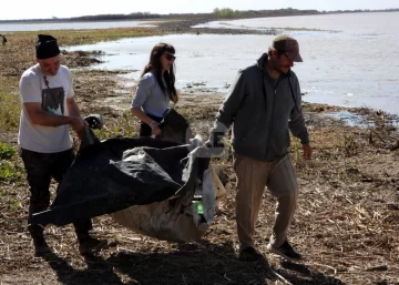 De la limpieza al arte: Vecinos transformaron la Bajada de las Varillas en Puerto Gaboto