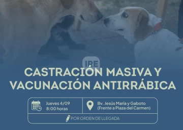 Timbúes realizará castraciones masivas y vacunación gratuita para mascotas