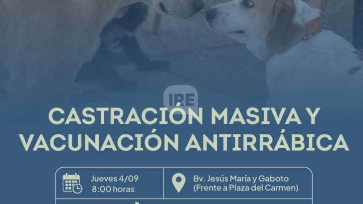 Timbúes realizará castraciones masivas y vacunación gratuita para mascotas