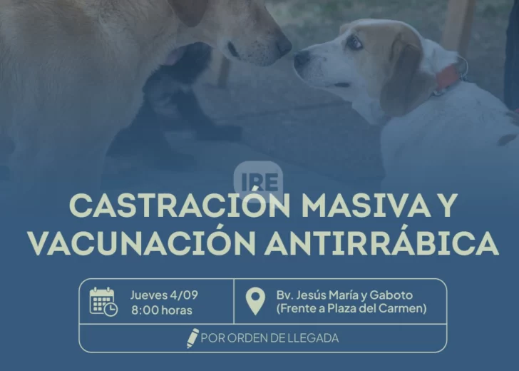 Timbúes realizará castraciones masivas y vacunación gratuita para mascotas