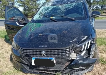 Intentó esquivar a cuatro perros, perdió el control y volcó en autopista