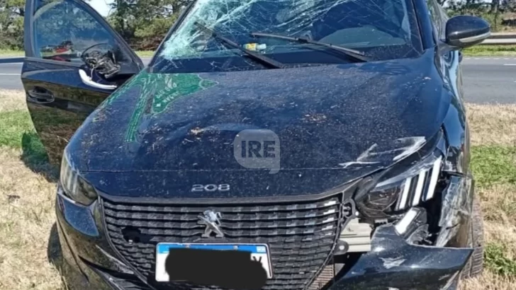 Intentó esquivar a cuatro perros, perdió el control y volcó en autopista