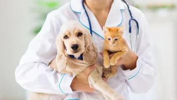 Timbúes realizará un jornada de castración y vacunación antirrábica para perros y gatos