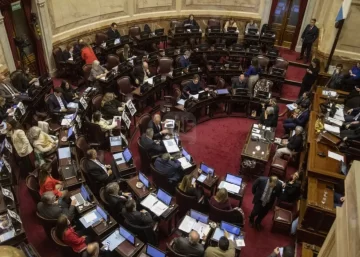 Con amplio respaldo, el Senado aprobó la ley de financiamiento universitario y la emergencia pediátrica