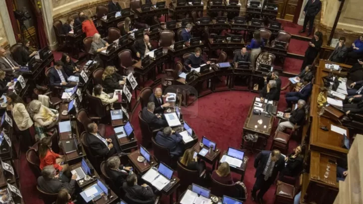 Con amplio respaldo, el Senado aprobó la ley de financiamiento universitario y la emergencia pediátrica