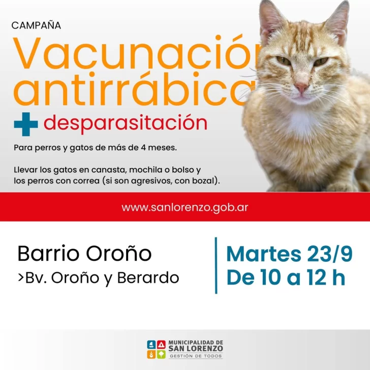 549327110_1229443005893574_8881307984989623146_n-728x728