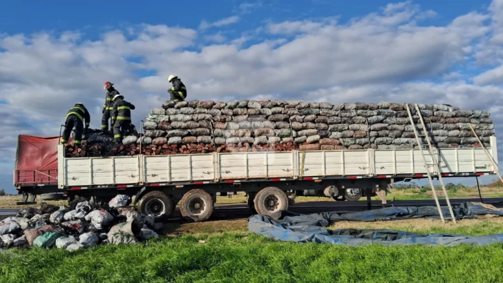 Bomberos controlaron el incendio de un camión con leña y carbón sobre la Ruta 34