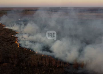Más de 30 mil hectáreas arrasadas por el fuego en el delta del Paraná en 2025