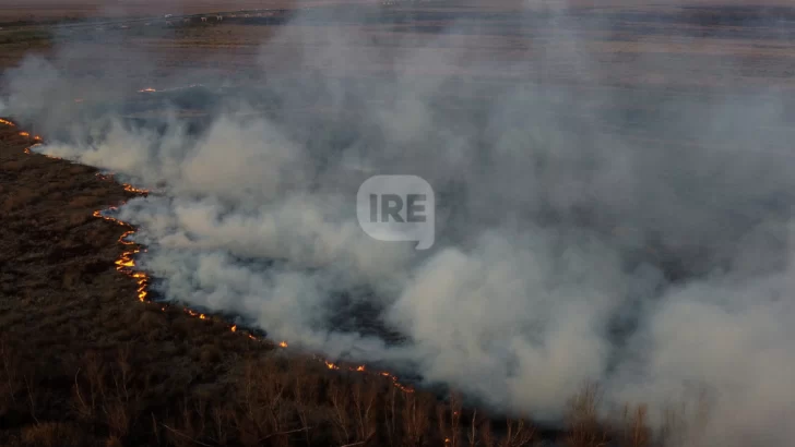 Más de 30 mil hectáreas arrasadas por el fuego en el delta del Paraná en 2025