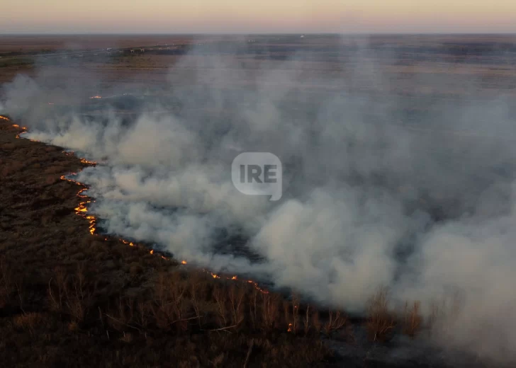 Más de 30 mil hectáreas arrasadas por el fuego en el delta del Paraná en 2025