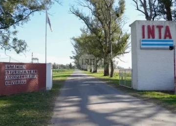 Búsqueda laboral en el INTA Oliveros: Personal de apoyo en área ganadera