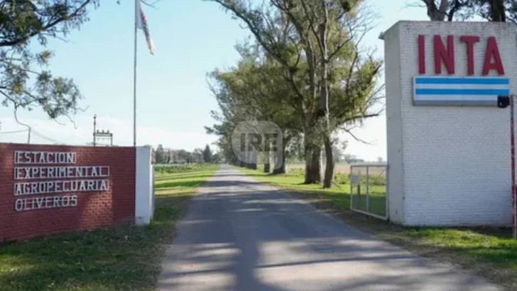 Búsqueda laboral en el INTA Oliveros: Personal de apoyo en área ganadera