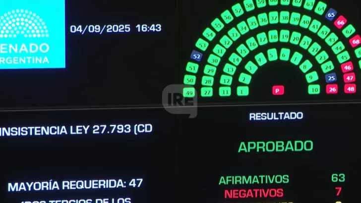 El Senado rechazó el veto de Milei y la Emergencia en Discapacidad es ley