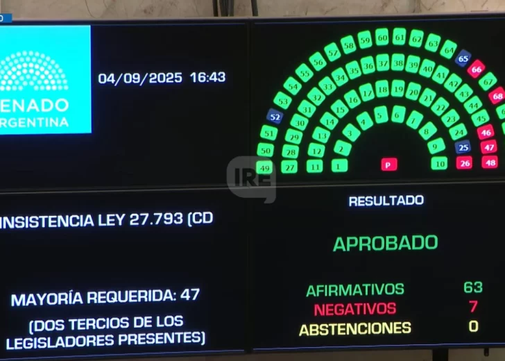 El Senado rechazó el veto de Milei y la Emergencia en Discapacidad es ley