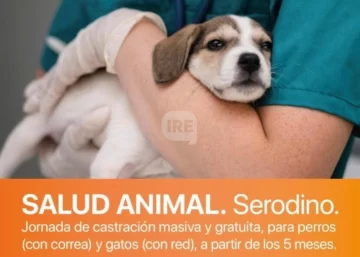 Serodino realizará una jornada de castración masiva y gratuita para perros y gatos