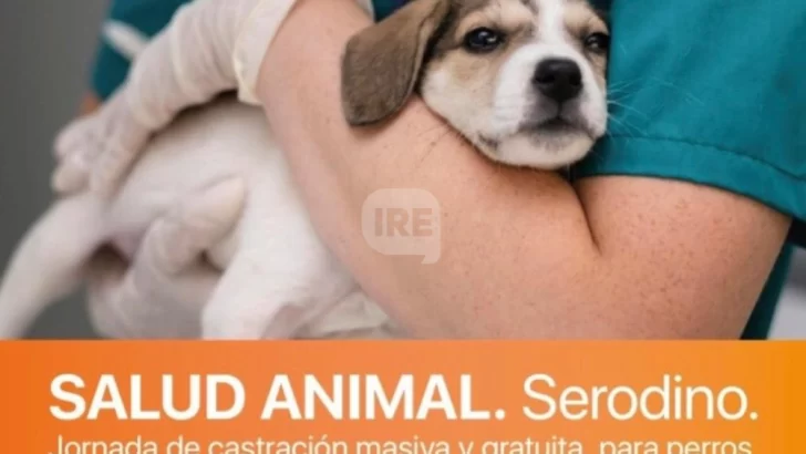 Serodino realizará una jornada de castración masiva y gratuita para perros y gatos