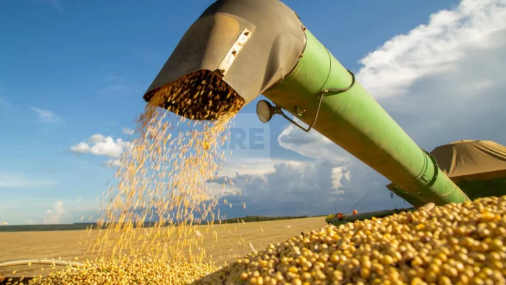 Fuerte baja en la liquidación del agro en agosto, pero el año sigue en alza