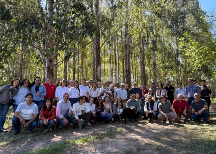 Santa Fe realizó su 1° Simposio Forestal con foco en ciencia, producción e industria