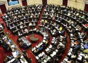Diputados rechazó los vetos de Milei sobre emergencia en pediatría y financiamiento universitario