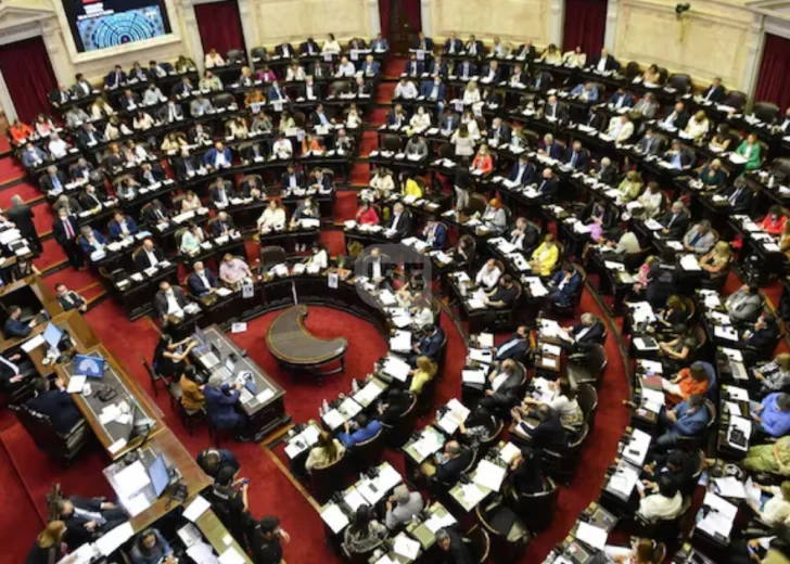 Diputados rechazó los vetos de Milei sobre emergencia en pediatría y financiamiento universitario