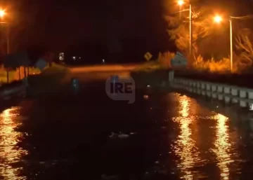 Desborde del río Carcarañá: Sigue el corte y hay viviendas amenazadas