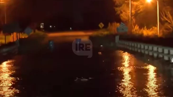 Desborde del río Carcarañá: Sigue el corte y hay viviendas amenazadas