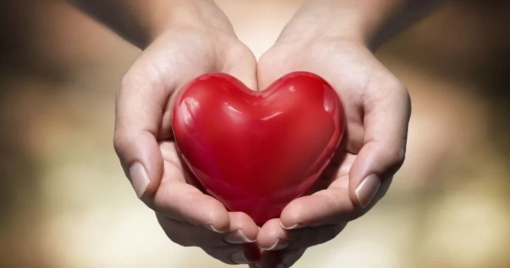 Día Mundial del Corazón: La importancia de prevenir enfermedades cardiovasculares