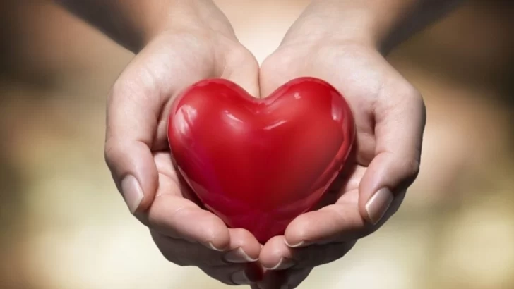 Día Mundial del Corazón: La importancia de prevenir enfermedades cardiovasculares