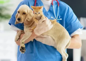 Barrancas promueve la salud animal con una nueva campaña de esterilización gratuita