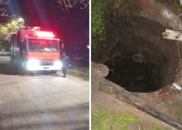Un caballo se cayó en un pozo negro y debió ser rescatado por bomberos