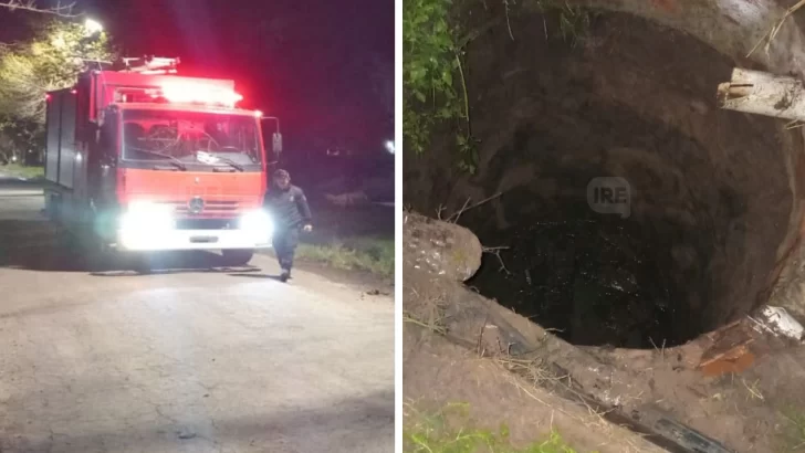 Un caballo se cayó en un pozo negro y debió ser rescatado por bomberos