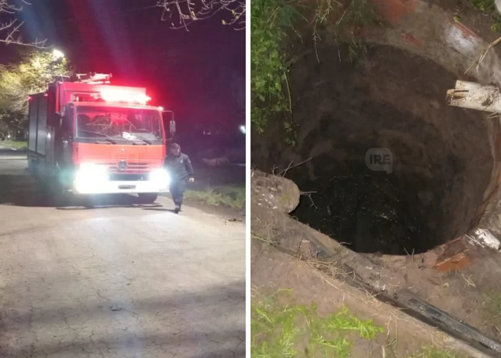 Un caballo se cayó en un pozo negro y debió ser rescatado por bomberos