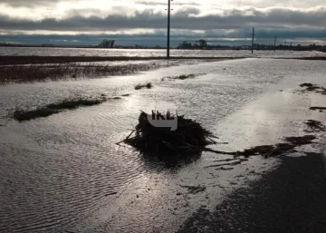 Temporal en la región: Cómo se encuentra el tránsito en rutas y accesos