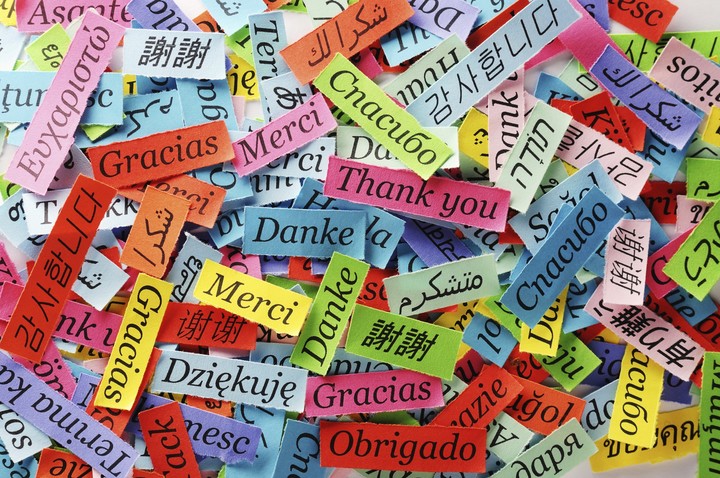 Día Internacional de la Traducción: El oficio que une lenguas y culturas