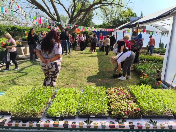 Exitosa feria de primavera del vivero inclusivo en San Lorenzo