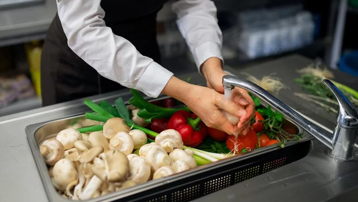 Nuevo curso de Manipulación de alimentos en Carrizales