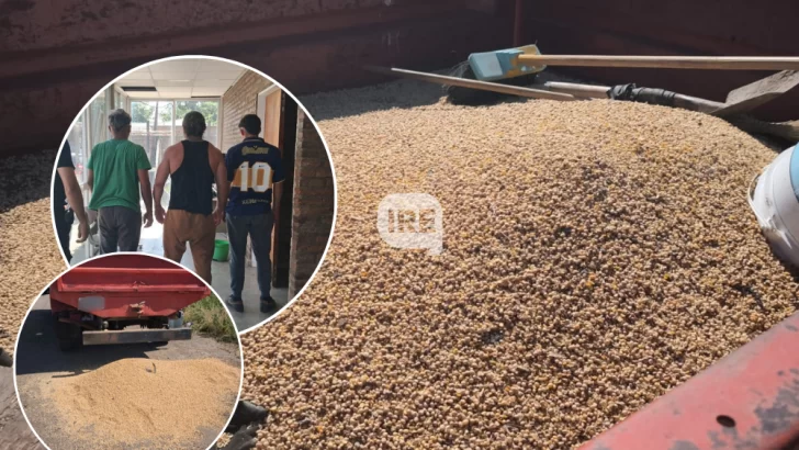 Recolectaban cereal en la Ruta 11 y fueron aprehendidos en Puerto San Martín