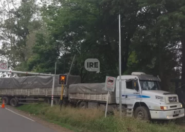 Colectora-Hermes-Binner-2-728x520