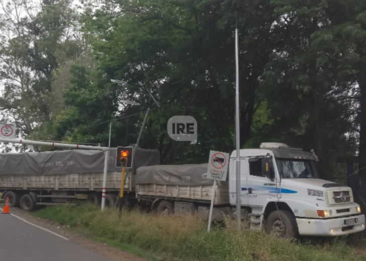 Colectora-Hermes-Binner-2-728x520