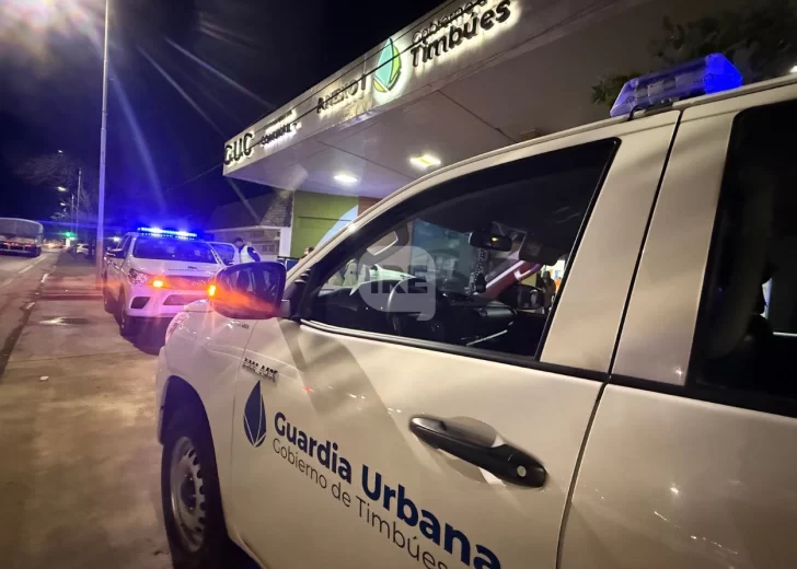 Detectaron a dos hombres de Andino robando en Timbúes y quedaron detenidos