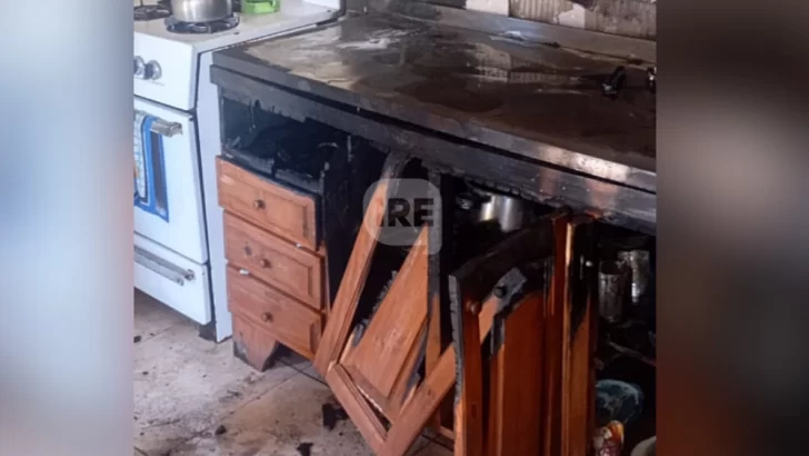 Incendio en una vivienda de Pueblo Andino: No hubo heridos y rescataron a una perra