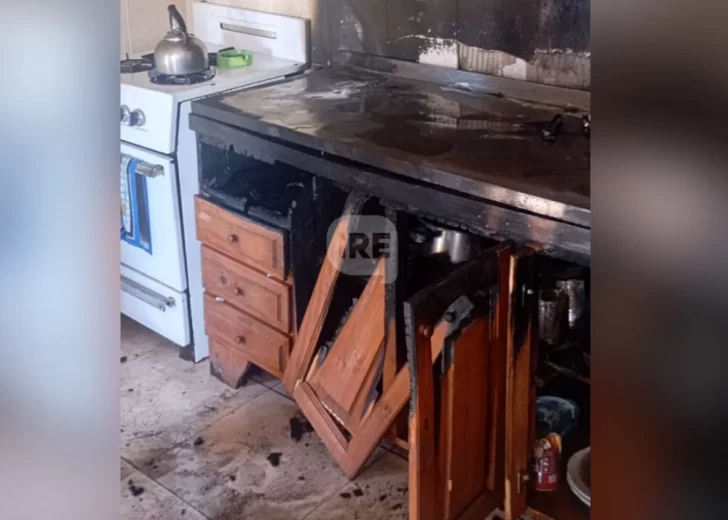 Incendio en una vivienda de Pueblo Andino: No hubo heridos y rescataron a una perra