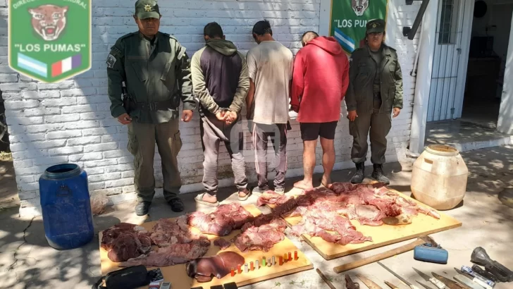 “Los Pumas” atraparon a cazadores furtivos en un operativo rural en el Río Coronda