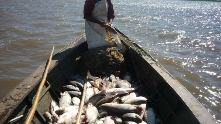 El jueves habrá un operativo de relevamiento de pescadores artesanales en Barrancas