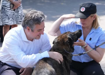 Fuerza canina: El rol clave de los perros en los operativos de la PDI