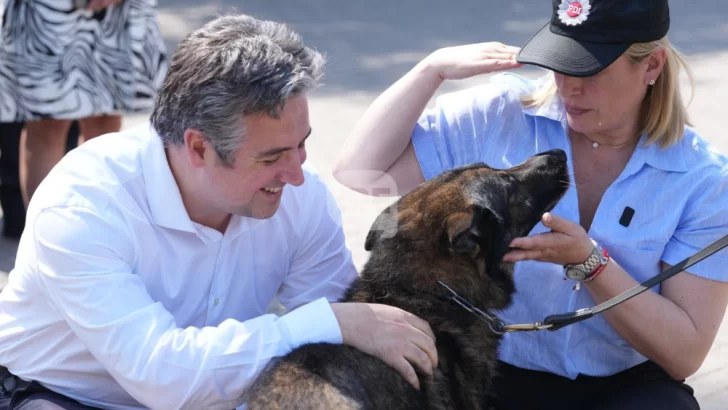 Fuerza canina: El rol clave de los perros en los operativos de la PDI